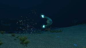 Dunes (27).jpg