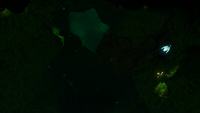 A view from the bottom of a cave