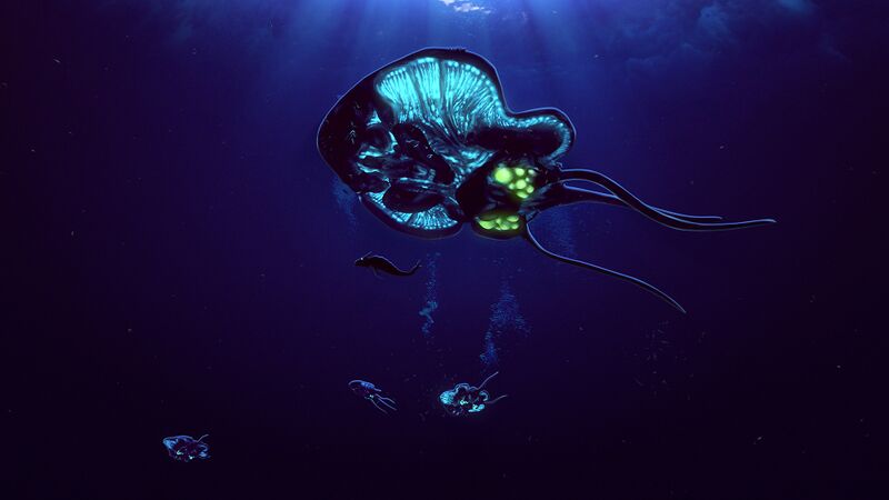 File:ReefbackSteamBG.jpg