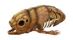 Research Specimen Theta Fauna.png