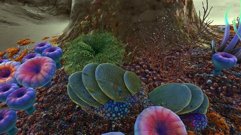 File:Safe Shallows Caves (10).jpg
