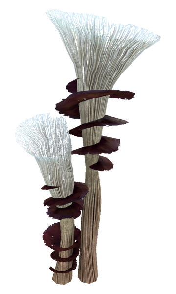 File:Spiral Plant Flora.png