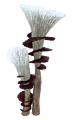 Thumbnail for version as of 06:33, 7 August 2021