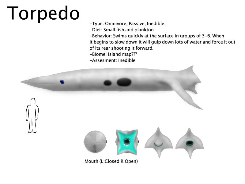 File:Torpedo WIP.jpg