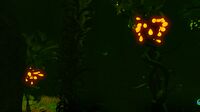 The Kelp Forest during night time, showing the Creepvine Seed Clusters' bioluminescence
