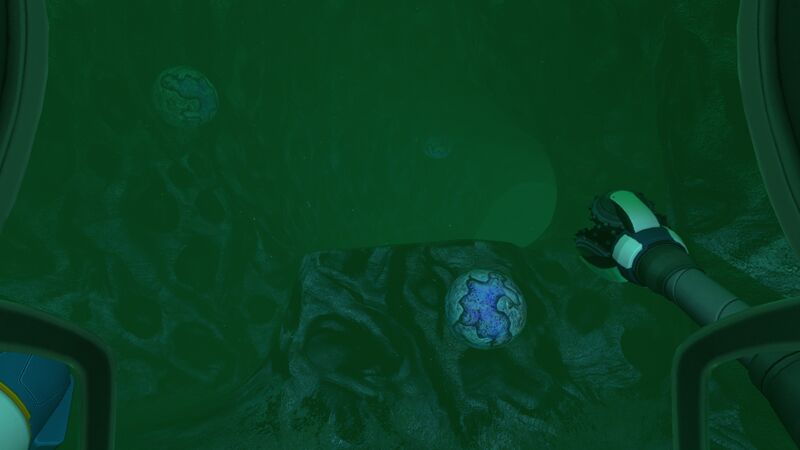 File:Brine eggs.jpg
