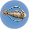 Cooked Spinefish.png