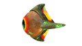 Thumbnail for version as of 04:51, 15 October 2016