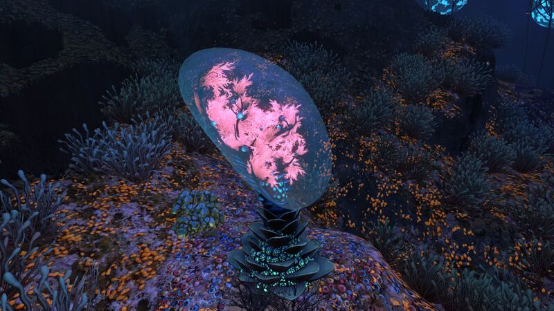 File:MembrainTreeDay.jpg