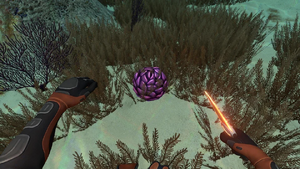 Purple Pinecone by Academic-Base1870.webp