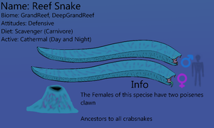 Reefsnake1.png