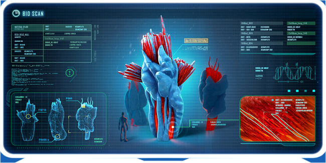 Snow Plant Ency.png