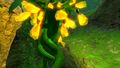 Creepvine bioluminescent