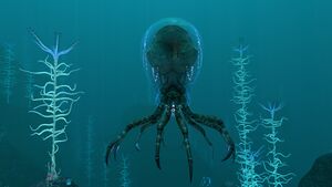 Crabsquid2.jpg
