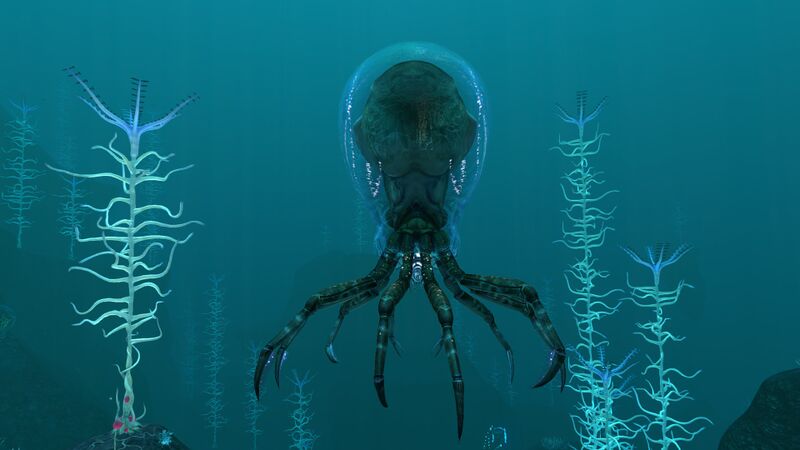 File:Crabsquid2.jpg