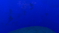 Deep Arctic Biome.png