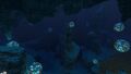 Deep Grand Reef (17).jpg