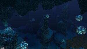 Deep Grand Reef (17).jpg