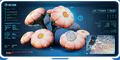 Thumbnail for version as of 18:52, 6 August 2021
