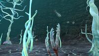 A Gabe's Feather in-between some Bloodvines