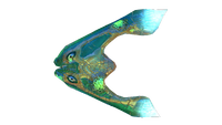 Infected Boomerang