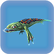 Lava Lizard.png