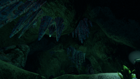 The ceiling of the Alien Cache