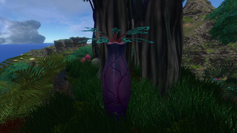 File:Purple Vase Plant Pic.jpg