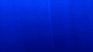 SeaglideReveal.gif