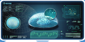 AmoeboidEncy.PNG