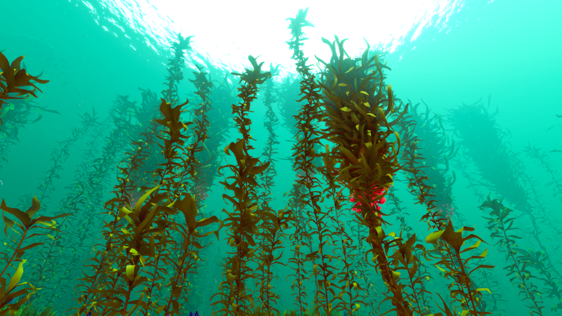 File:Arctic Kelp Forest Biome.png