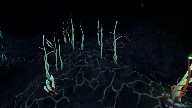 File:BabyBloodKelp.jpg