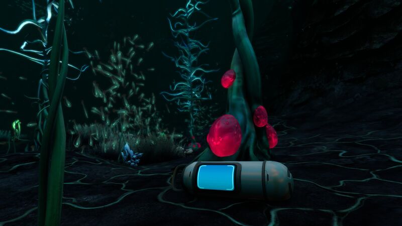 File:BloodKelpCapsule1.jpg