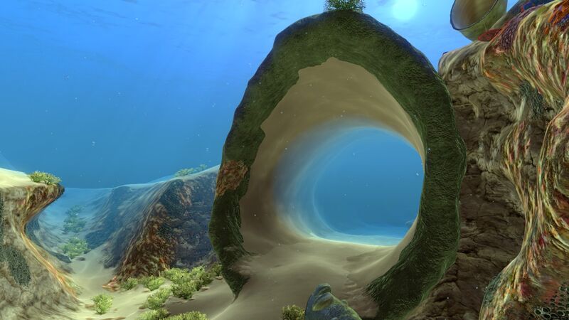 File:Coral Tube (6).jpg