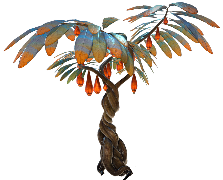 File:Lantern Tree Flora.png