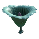 Ragged Pitcher Plant Flora.png
