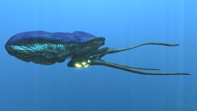 File:Reefback2.jpg