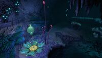 An Oxygen Plant in the caves