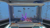 Aquarium (5).gif