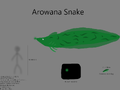 Arowana Snake Concept "Aruanã Cobra"