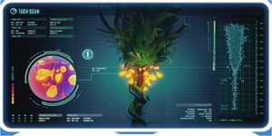 Creepvine DB.png