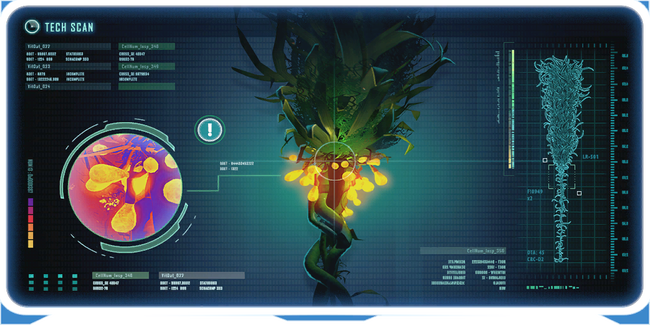 Creepvine DB.png