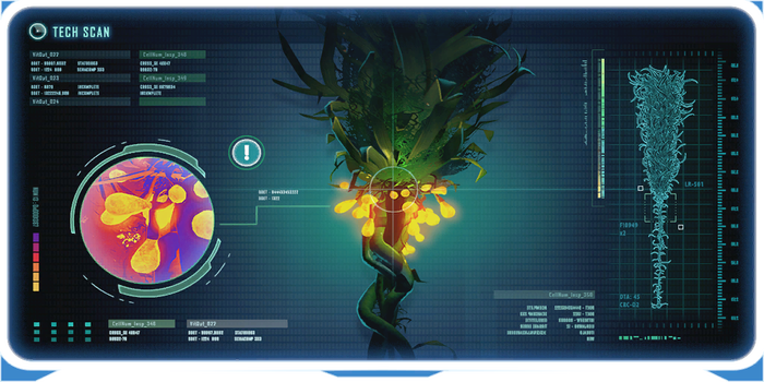 Creepvine DB.png