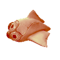 Thumbnail for version as of 18:35, 6 August 2021