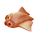 Cured Triops Icon.png