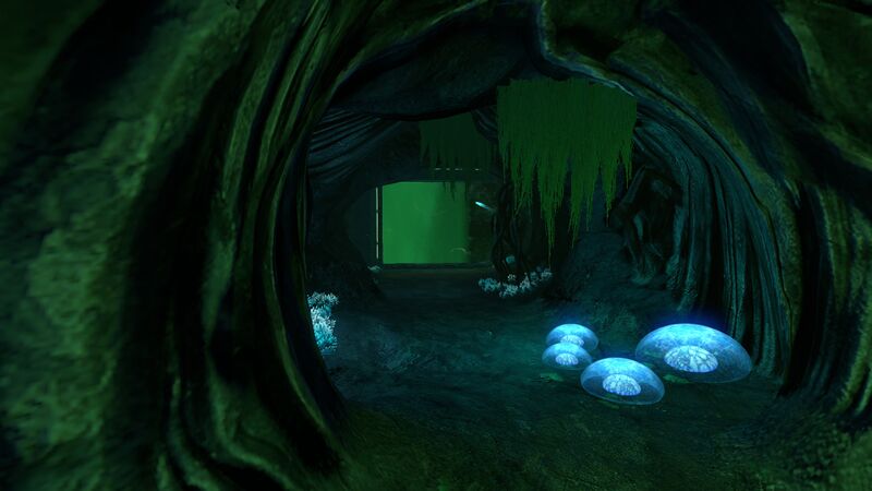 File:GhostForestCache4.jpg