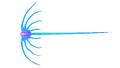 Jellyray Fauna.png