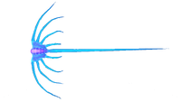 Jellyray Fauna.png