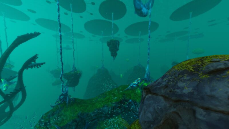 File:Lilypad shallows.jpg