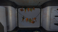 Several species of small fish, drying